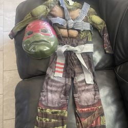 Ninja Turtles Costume