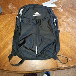 High Sierra Swerve Pro Backpack