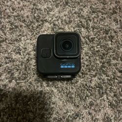 Gopro/camera