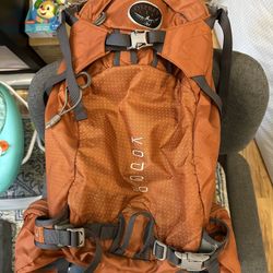 Osprey Kode 30 Backpack Size Large
