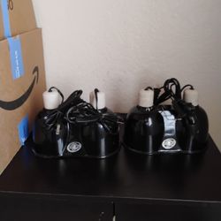 Reptile Lights 