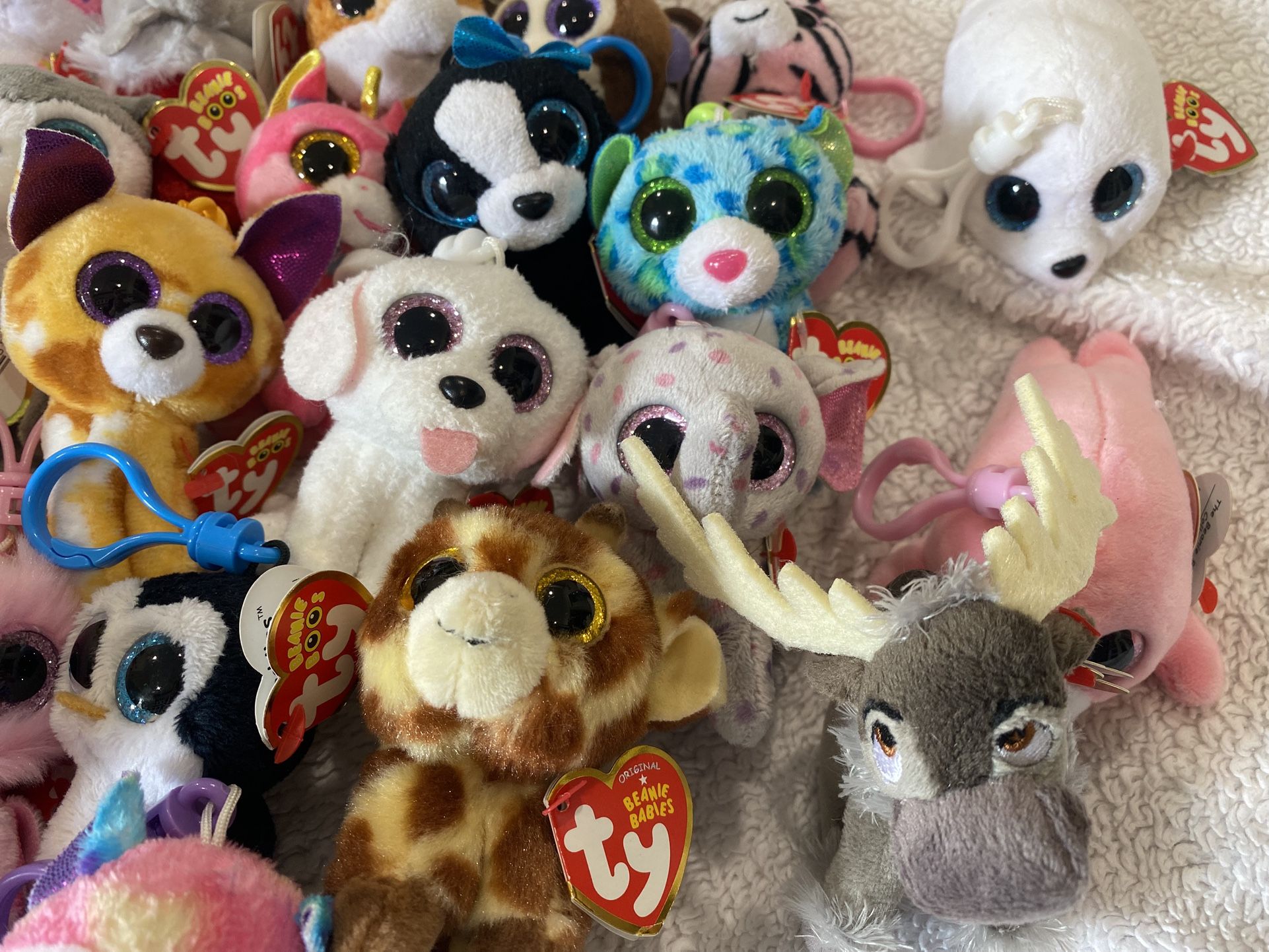 Collection Of 27 Keychains By ‘Ty’