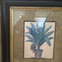 Art Set Of Two Palm Tree In Nice Frames Black 
