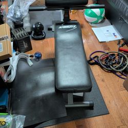 Bench With Back Extension 