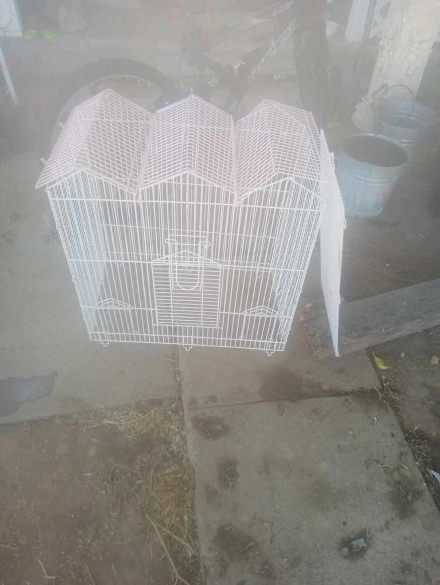 Bird Cage