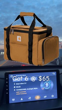 Lunch Bag Coolers