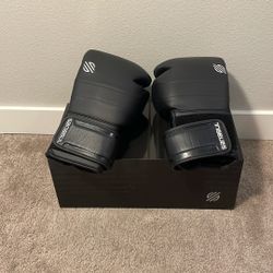 Sanabul 14 Oz Boxing Gloves