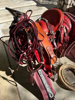 New charro silla2500