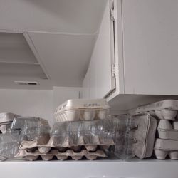 Free Egg Cartons