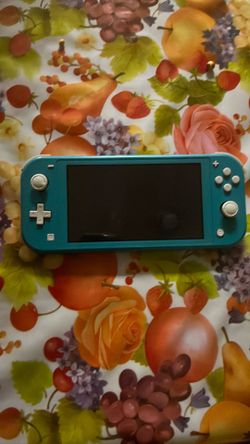 Nintendo switch lite
