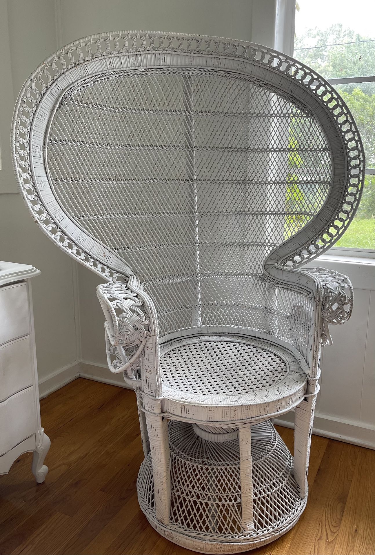 1970s Peacock Chair