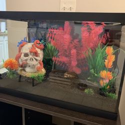 30 Gallon Aquarium With Stand And Decor