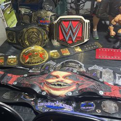 WWE Collectible 