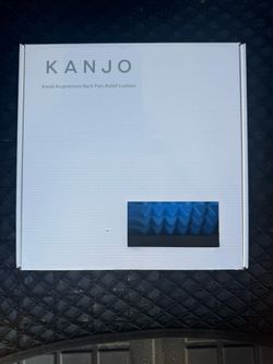 Kanjo Back Pain relief cushion