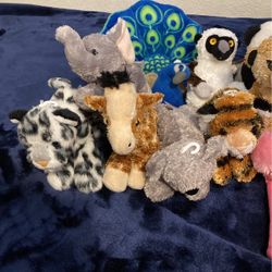 Zoo Animal Plushies 