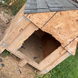 Dog House 
