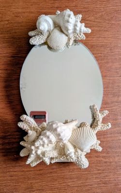 Oval seashell mirror