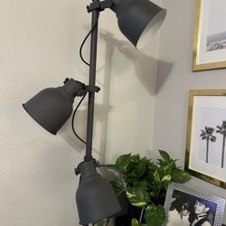Standing Light 