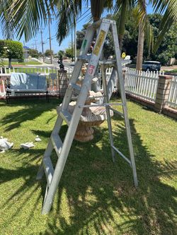 Ladder 🪜 6ft