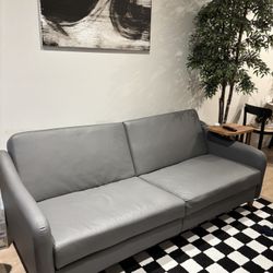 Sleeper sofa / couch