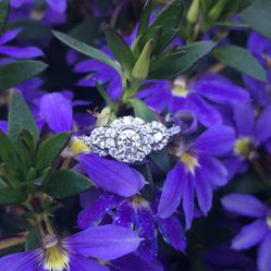 14k White Gold Past Present And Future Engagement Ring Size 7