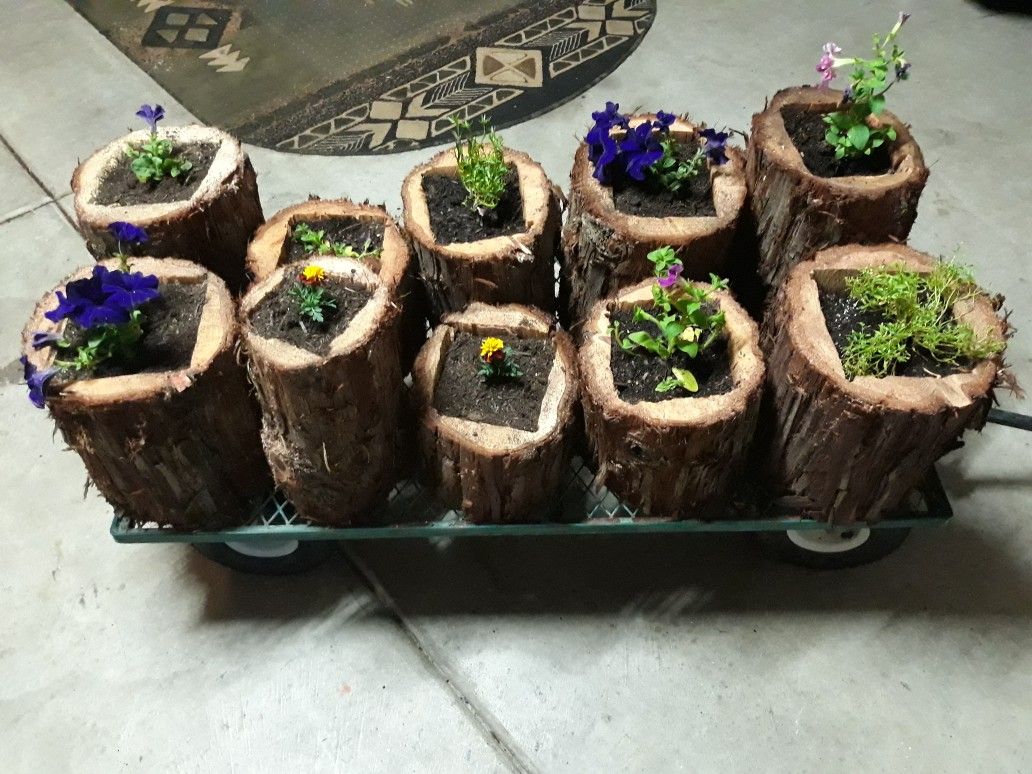 Flower pots (special) each