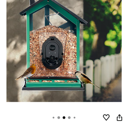new birdfeeder with camera