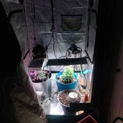 Grow Tent 
