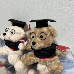 Graduation Bear And Kid Plush Losto Bear