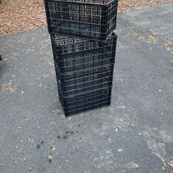 Cajas Plásticas/Crate Plastic 