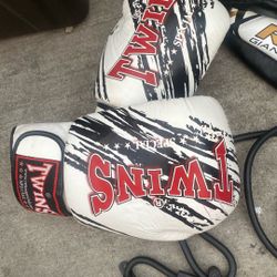 Boxing Gloves And Speed Bag (NEW)