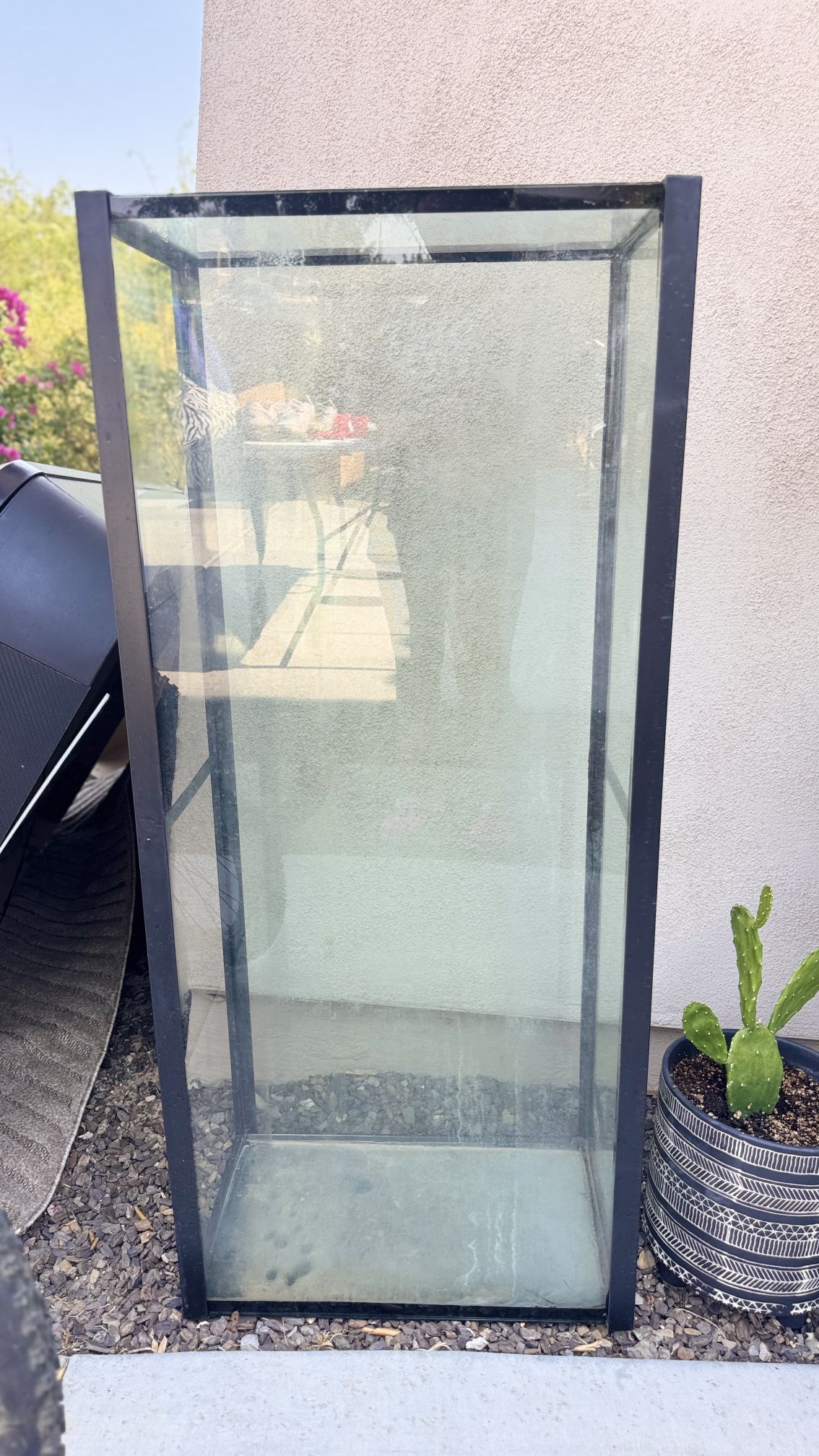 fish tank