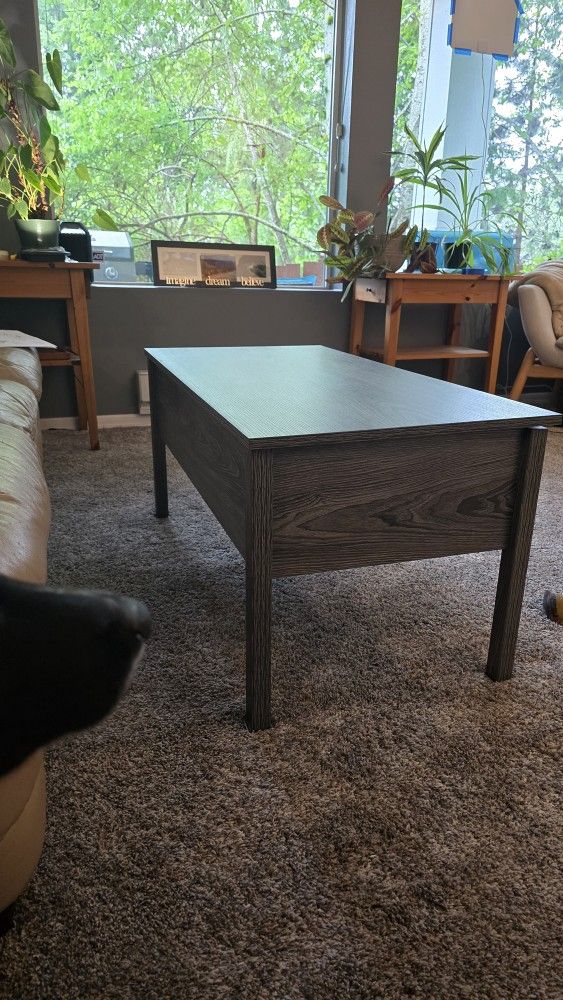 Lift Top Coffee Table