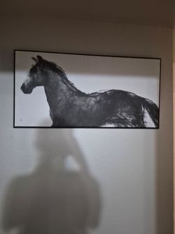 Large Framed Black and White Horse Wall Art