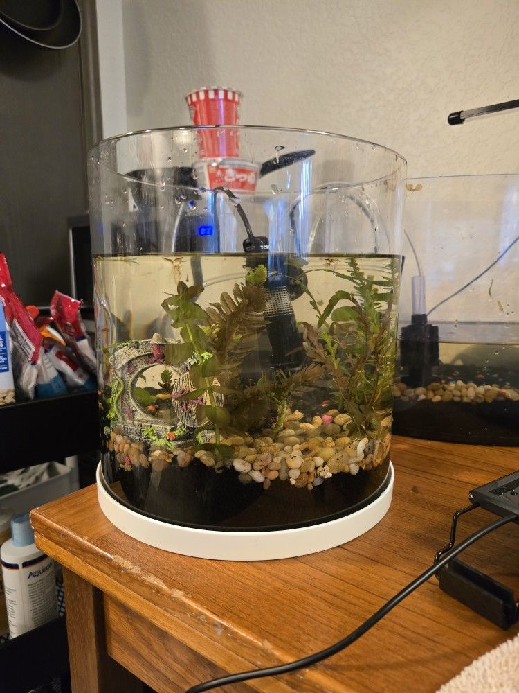 Planted Aquarium Fish Tank