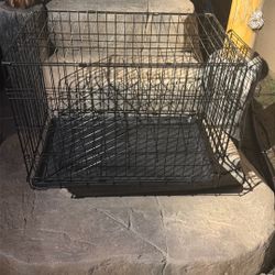 Dog Cage