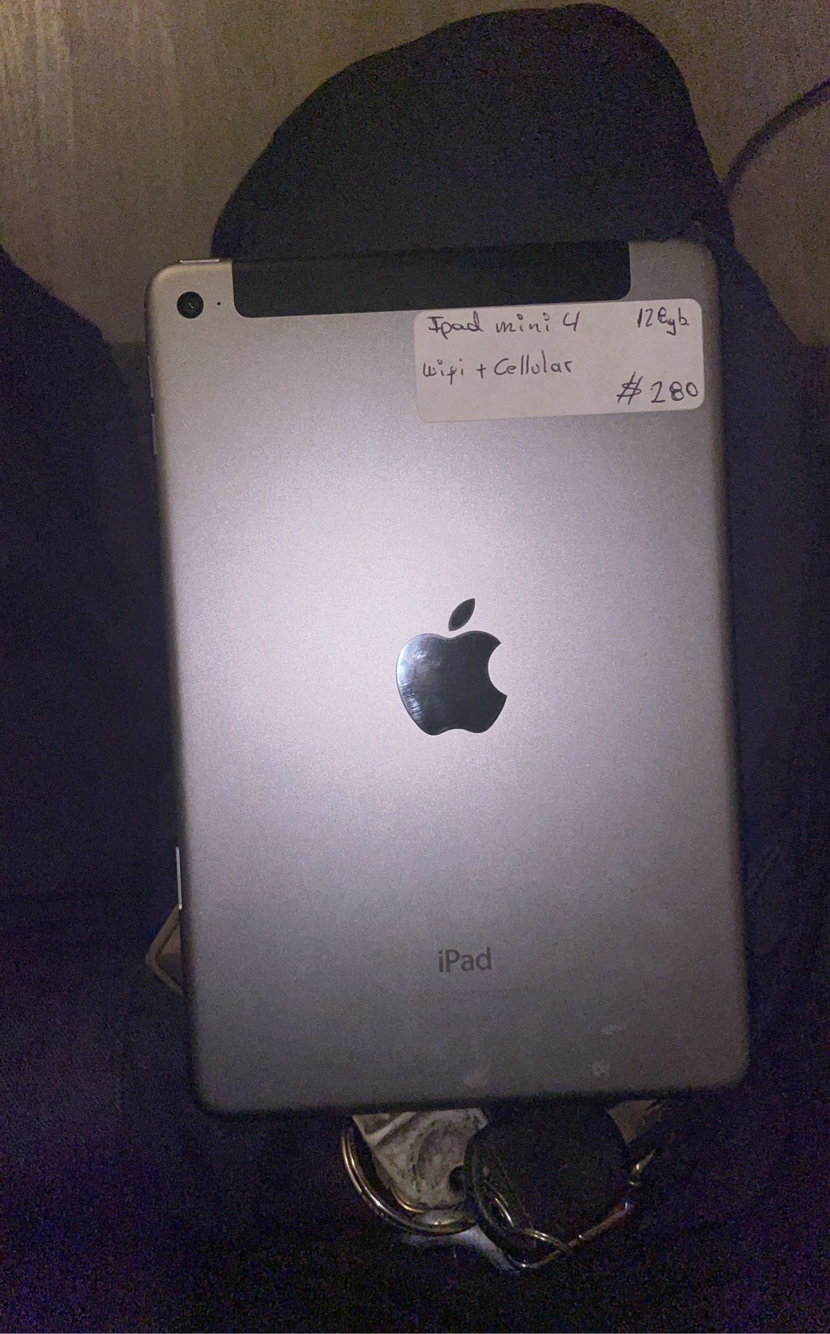 iPad Mini