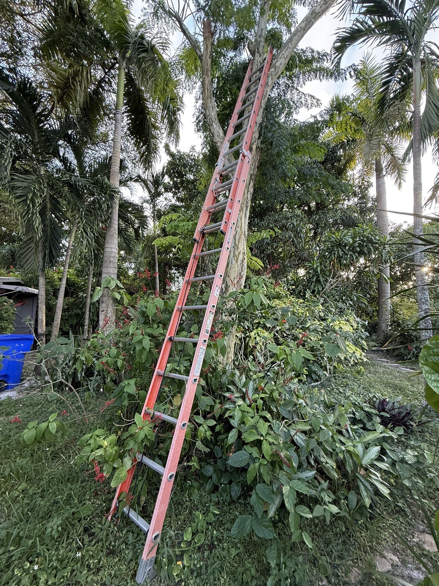 24 Feet Ladder Werner