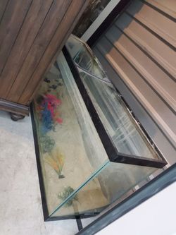 55 gallon tank