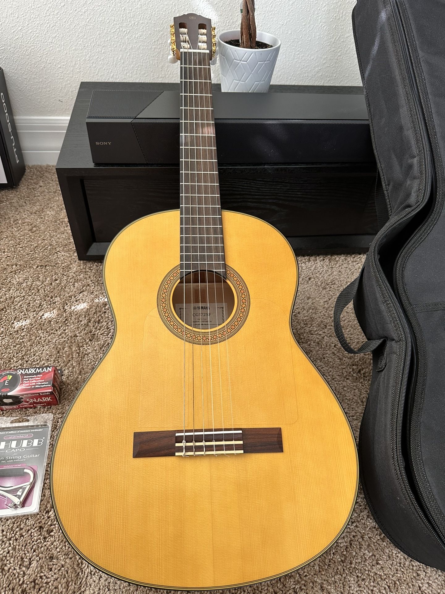 Guitar