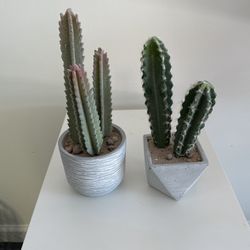 Cactus Plants Decor Faux Plants