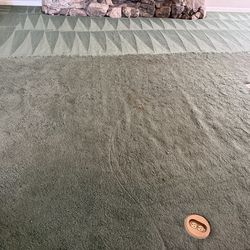 Carpet
