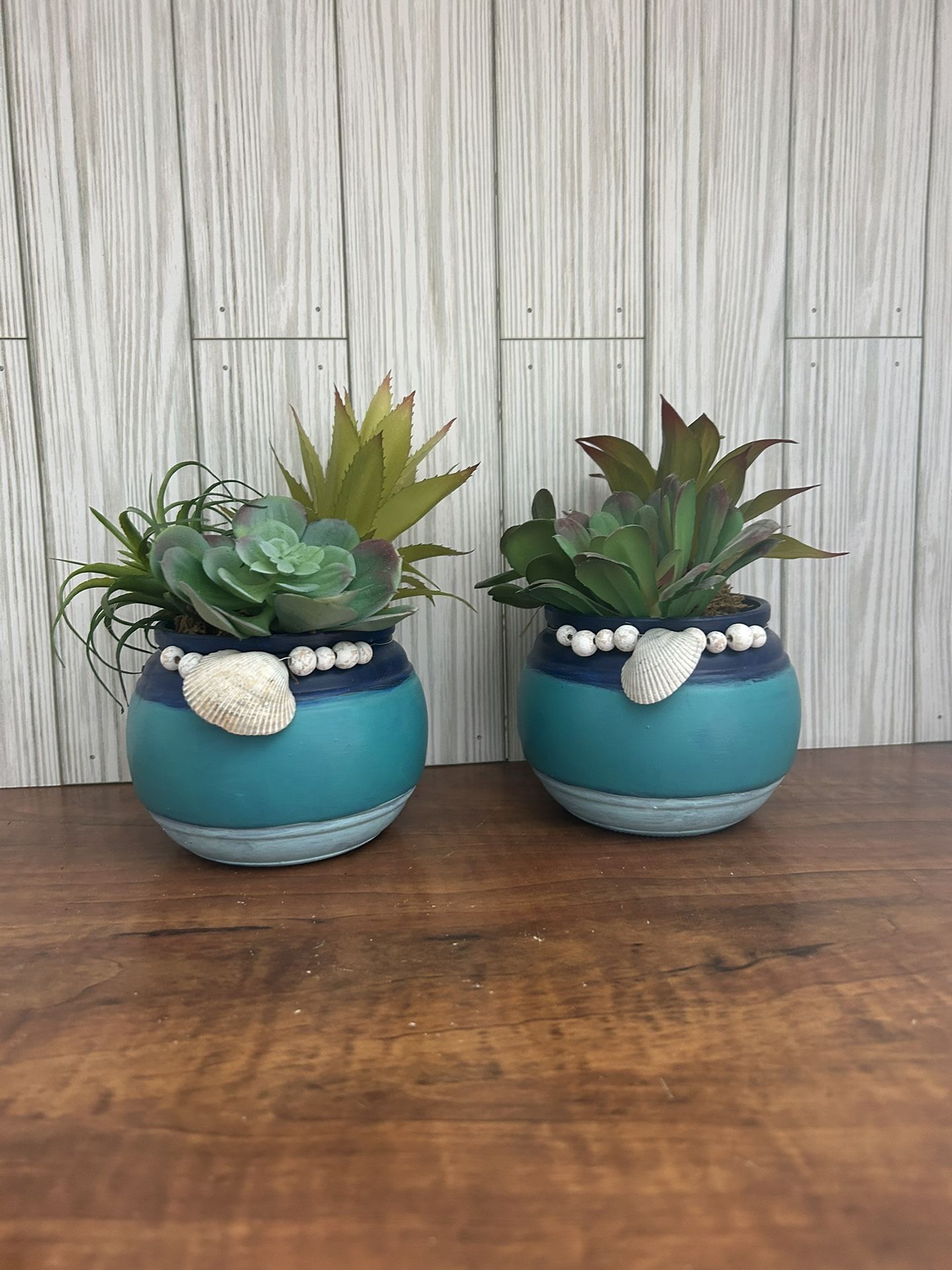 Succulent Beach Jars