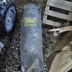 Everlast Punching Bag