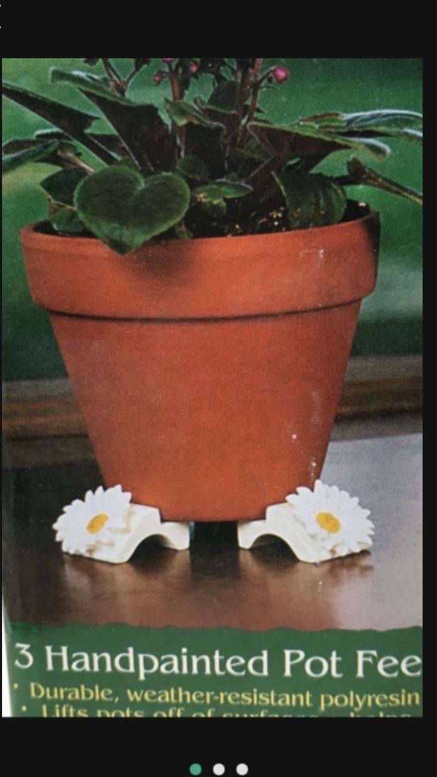 12pc Daisy And Roses Plant Pot Feet