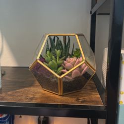 Fake Plants