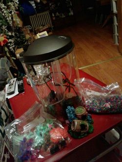 Pecera con varios accesorios