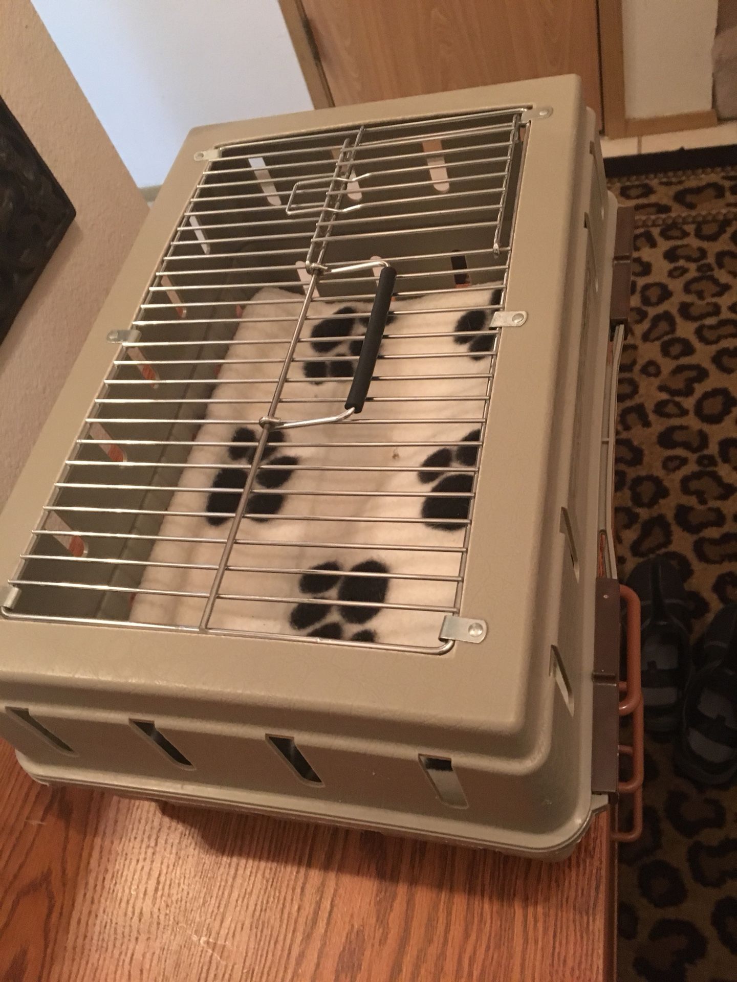 Doskocil cabin kennel wire top cheap
