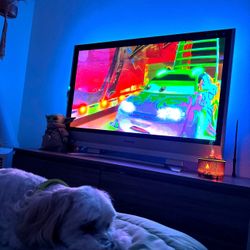 Panasonic Viera 50" TV