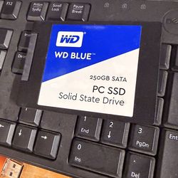 WD Blue 250GB SSD (2.5” SATA) – Fast & Reliable